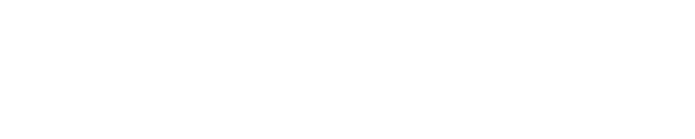 auto inclusivo